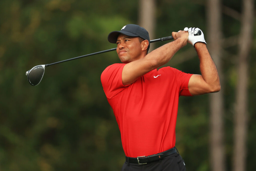 Tiger Woods Golf Champion