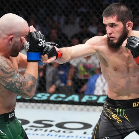 Guida scommesse sulla UFC e MMA